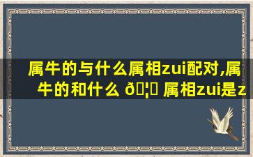 属牛的与什么属相zui
配对,属牛的和什么 🦋 属相zui
是zui
佳婚配